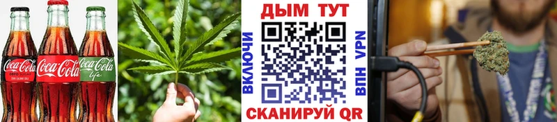 как найти   Чекалин  Cannafood конопля 
