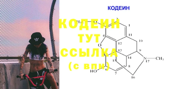 PSILOCYBIN Гусев
