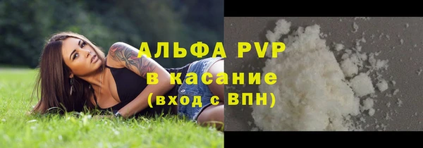 PSILOCYBIN Гусев