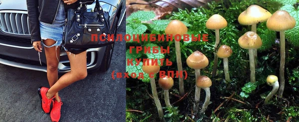 PSILOCYBIN Гусев