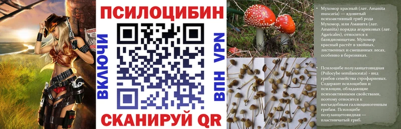 где купить наркоту  Чекалин  Псилоцибиновые грибы Cubensis 
